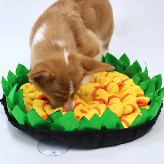 Wag&Whiskers Co Sniffle Mat - Interactive Slow Feeder & Enrichment Toy