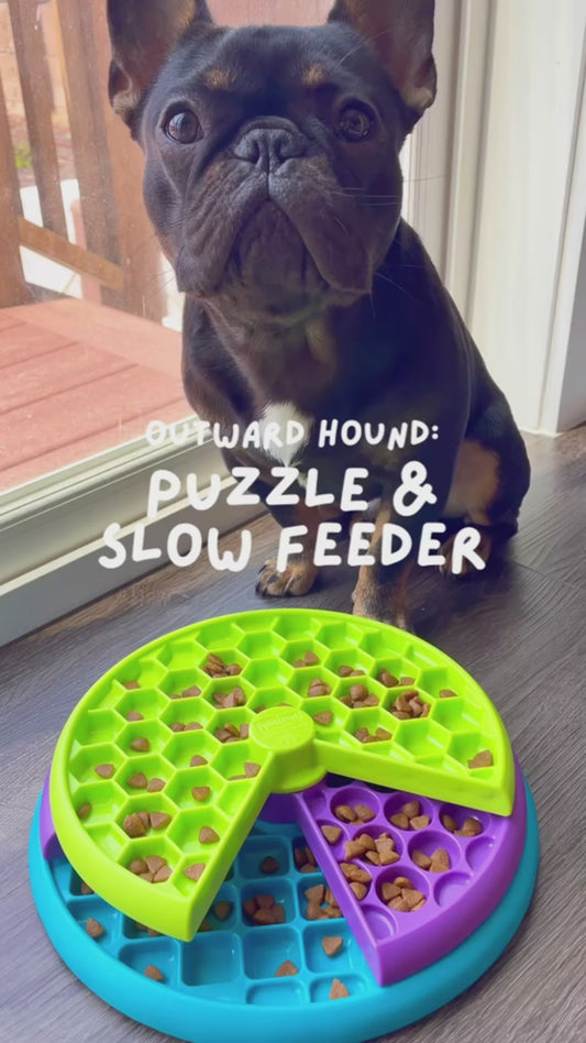 Slow Feeder Bowl for Dogs & Cats – Anti-Choking Rotating Puzzle Feeder, Interactive Pet Slow-Eating Food Bowl